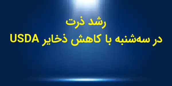 رشد ذرت در سه‌شنبه با کاهش ذخا...