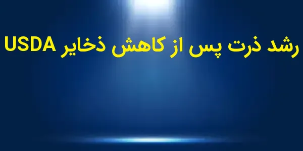 بازار ذرت امروز با افزایش قیمت...