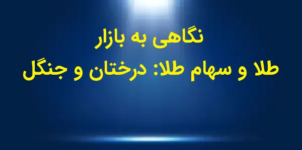 تحرکات بازار نشاندهنده بلوغ ر...