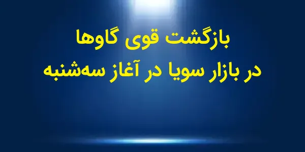 قیمت آتی سویا در روز سهشنبه ب...