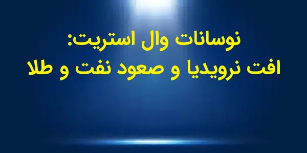 سقوط سهام شرکت نودیا در روز دو...