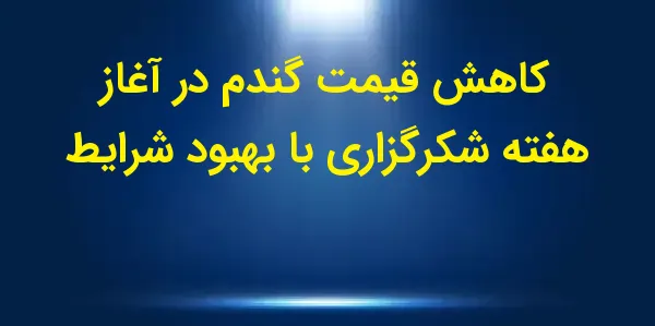 گندم در آستانه هفته شکرگزاری ب...