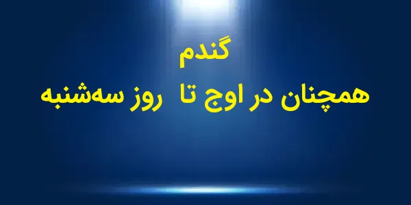 بازار گندم در روز سهشنبه به ر...